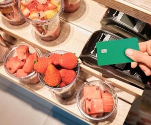 Kërkesa për paladium dhe platin: trendet kryesore krahasuese