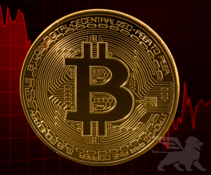 Nëntori 2025 ishte një zgjim i ashpër për bull-at e bitcoin-it.